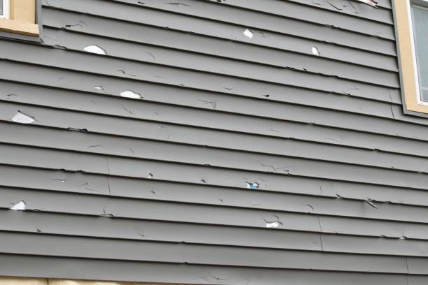 Best Historical Building Siding Restoration  in Avonia, PA